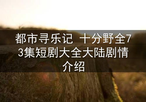 都市寻乐记 十分野全73集短剧大全大陆剧情介绍