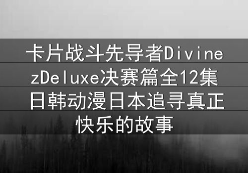 卡片战斗先导者DivinezDeluxe决赛篇全12集日韩动漫日本追寻真正快乐的故事
