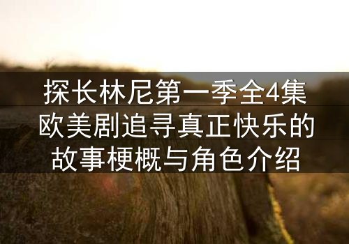 探长林尼第一季全4集欧美剧追寻真正快乐的故事梗概与角色介绍