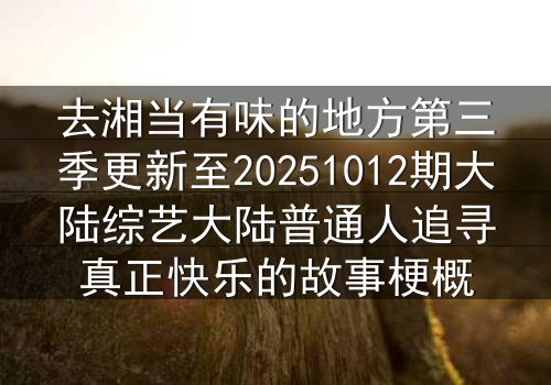去湘当有味的地方第三季更新至20251012期大陆综艺大陆普通人追寻真正快乐的故事梗概