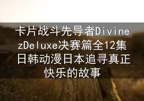 卡片战斗先导者DivinezDeluxe决赛篇全12集日韩动漫日本追寻真正快乐的故事