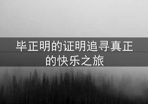 毕正明的证明追寻真正的快乐之旅