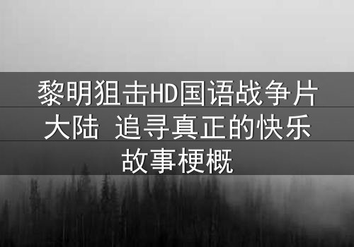 黎明狙击HD国语战争片大陆 追寻真正的快乐故事梗概
