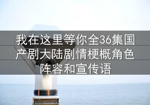 我在这里等你全36集国产剧大陆剧情梗概角色阵容和宣传语