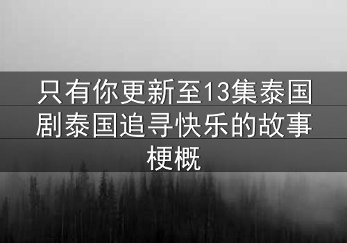 只有你更新至13集泰国剧泰国追寻快乐的故事梗概