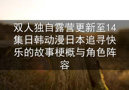 双人独自露营更新至14集日韩动漫日本追寻快乐的故事梗概与角色阵容