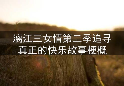 漓江三女情第二季追寻真正的快乐故事梗概