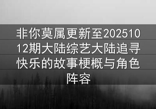 非你莫属更新至20251012期大陆综艺大陆追寻快乐的故事梗概与角色阵容