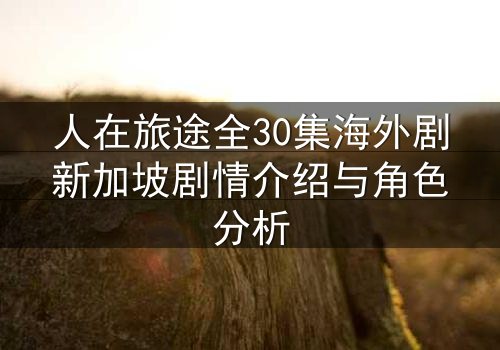 人在旅途全30集海外剧新加坡剧情介绍与角色分析