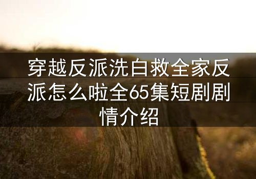 穿越反派洗白救全家反派怎么啦全65集短剧剧情介绍