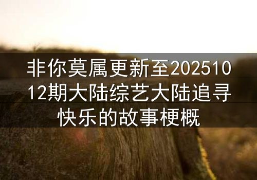 非你莫属更新至20251012期大陆综艺大陆追寻快乐的故事梗概