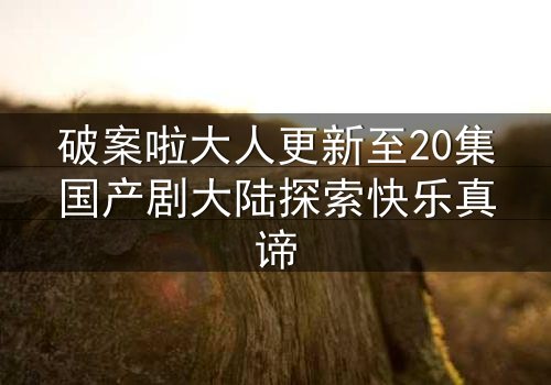 破案啦大人更新至20集国产剧大陆探索快乐真谛