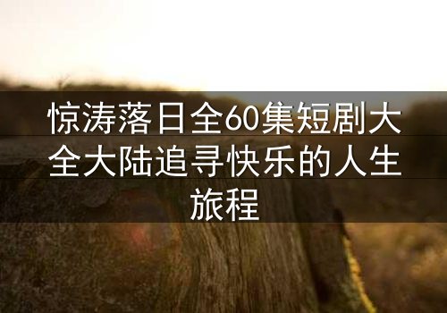 惊涛落日全60集短剧大全大陆追寻快乐的人生旅程