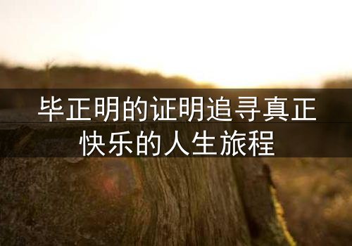毕正明的证明追寻真正快乐的人生旅程
