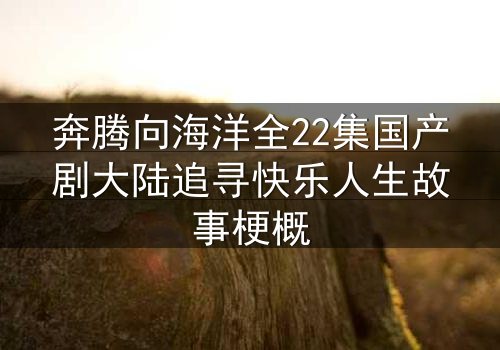 奔腾向海洋全22集国产剧大陆追寻快乐人生故事梗概