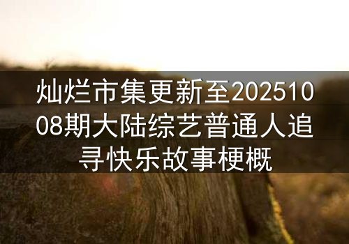 灿烂市集更新至20251008期大陆综艺普通人追寻快乐故事梗概