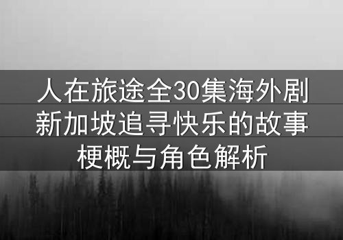 人在旅途全30集海外剧新加坡追寻快乐的故事梗概与角色解析