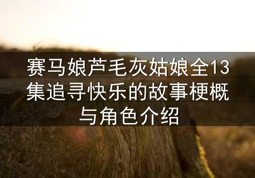 赛马娘芦毛灰姑娘全13集追寻快乐的故事梗概与角色介绍