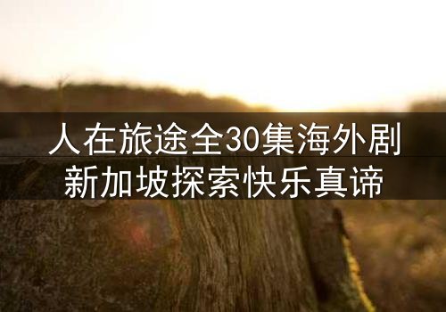 人在旅途全30集海外剧新加坡探索快乐真谛