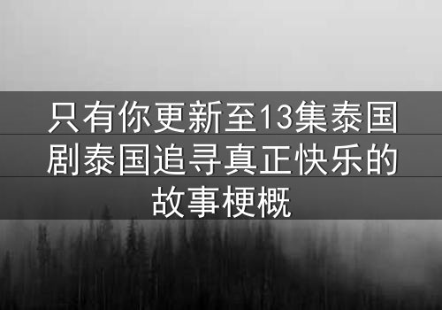 只有你更新至13集泰国剧泰国追寻真正快乐的故事梗概