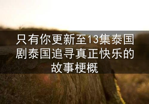 只有你更新至13集泰国剧泰国追寻真正快乐的故事梗概